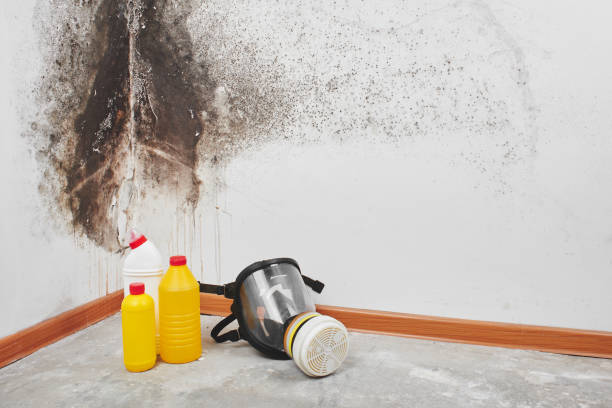 Water Damage Restoration in Barry, IL