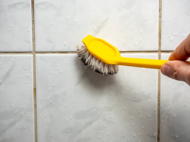 Best Mold Damage Repair  in Barry, IL