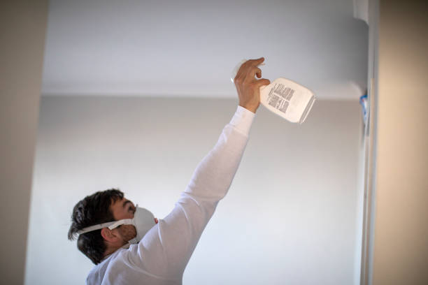 Best Mold Cleaning Services  in Barry, IL