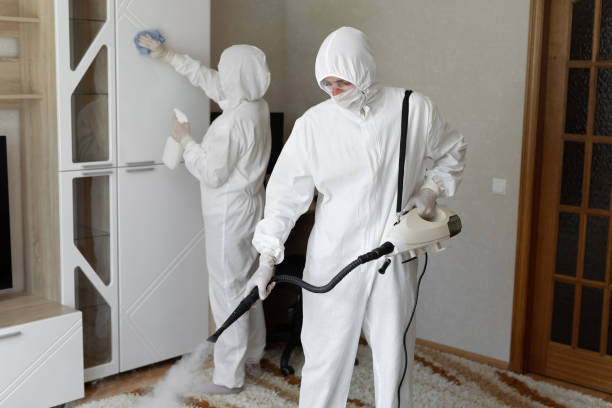 Mold Removal and Inspection in Barry, IL