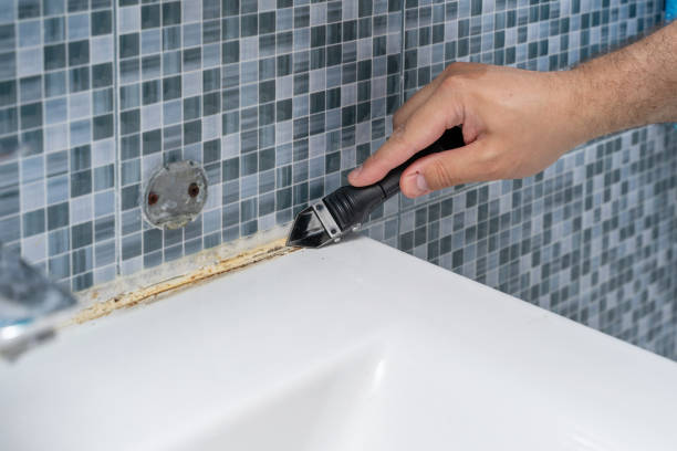 Best Mold Removal Company Near Me  in Barry, IL